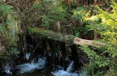 Ferienwohnung Fichtelzauber - Foto 36