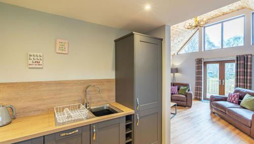 Thistle Lodge 20 with Hot Tub - Foto 5