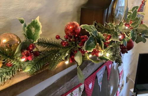 Penrallt-Fach Traditional Welsh cottage Pembrokeshire - Foto 80