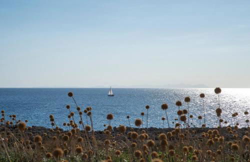 Pierre & Vacances Menorca Cala Blanes - Foto 9