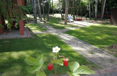 Willa Poziomka, Mielno, Grunwald - Foto 22