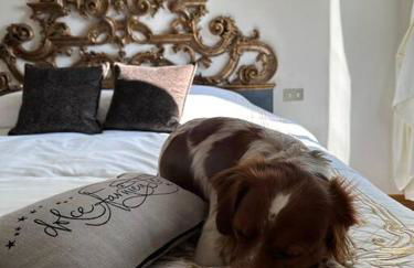 ☆Lovely view of Florence in Stilish Designed Apt☆ - Foto 17