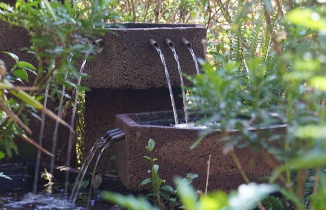 Woodland Gardens - Photo 50