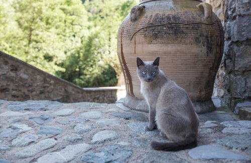 Can Criach - Photo 38