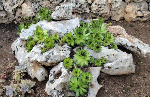 Apartments Dalia - Foto 53