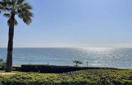 VIP Dominion Beach Estepona - Photo 14