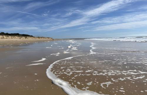 La petite maison avec palmier - Foto 9