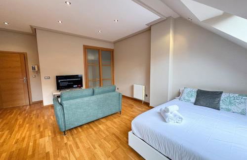 Coqueto Estudio Muy Céntrico - Zona Progreso - Foto 3