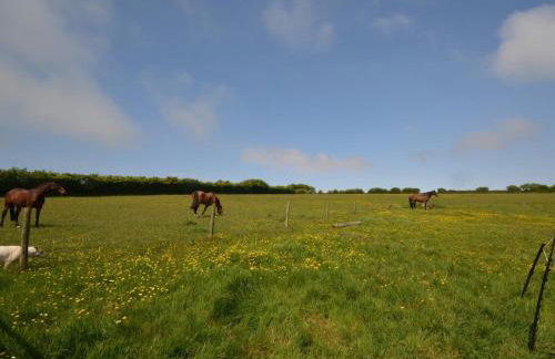 2 Bed in Parracombe 51619 - Foto 14