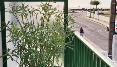 Appartement vue mer - Foto 2