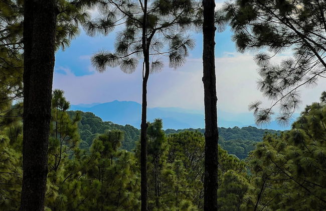 Las Morenas - Tres Lunas Domo - Foto 38