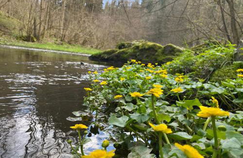 Ferienwohnung Sternenhimmel - Foto 21