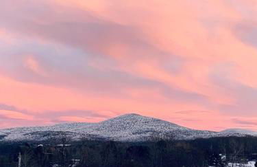 The Disco Den on Toad Road - Photo 21