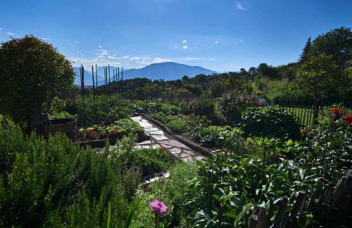 Weingut Stuck - Foto 39