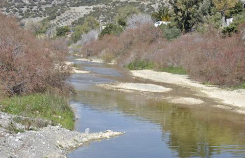 Chouzourakis Studios - Foto 32