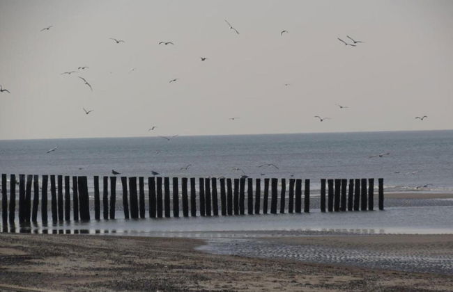 Holiday Home in Renesse Near the Beach - Photo 36