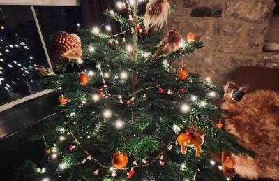 Boutique cottage in the heart of the Peak District - Foto 60