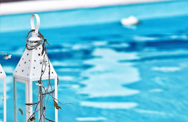 Golden King - Foto 41