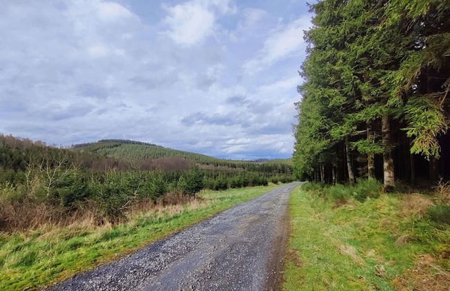 Accessible Stay in Nature - Foto 38