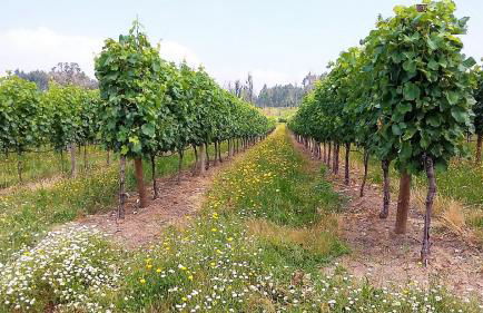 Casal do Arcebispado - Foto 53