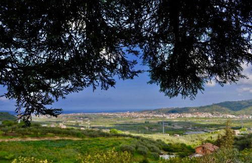 Villa Martius - Foto 27