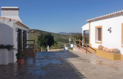 Horta da Quinta - Foto 67