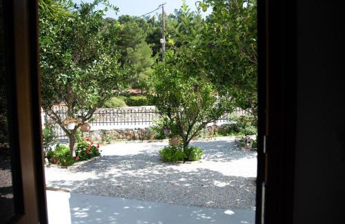 Dreamcatcher of Zeus - Foto 34