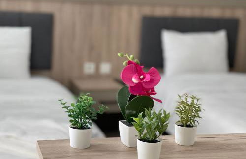 Weseler Wirtshaus Appartements - Foto 53