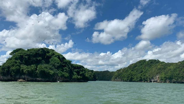 Los Haitises National Park Full Day Tour - Foto 5