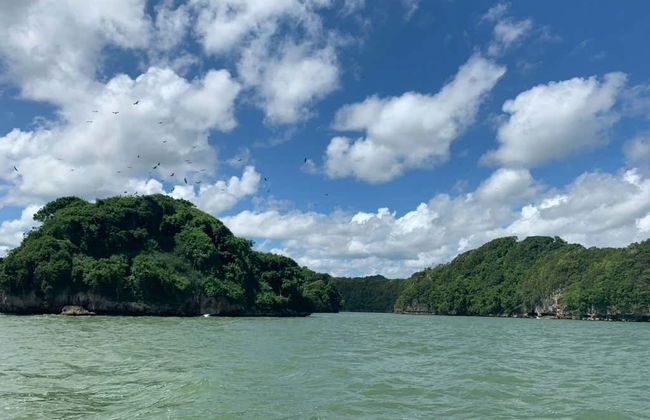 Los Haitises National Park Full Day Tour - Foto 5