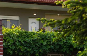 Xrysa's House - Foto 51