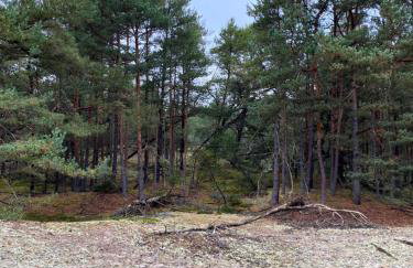 Apartamenty - Dom Smołdziński Las - Foto 37