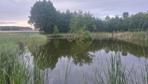 Siedlisko pod Bocianim Gniazdem - Foto 3