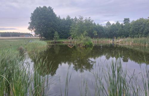 Siedlisko pod Bocianim Gniazdem - Foto 3