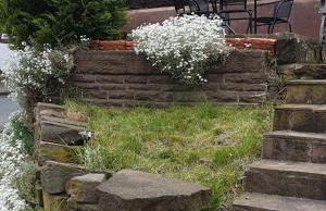 Apartaments Am Schloß - Foto 31