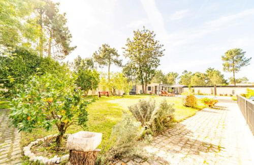 Villa Praia e Floresta - Foto 76