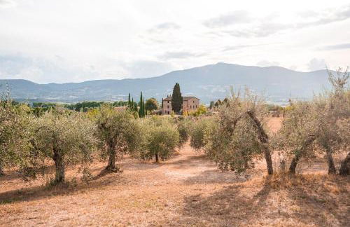 San Carlo a La Molinella - Photo 35