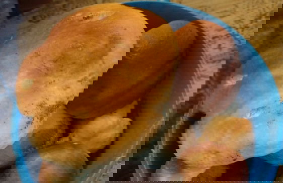 Agroletnica Country house - Foto 34