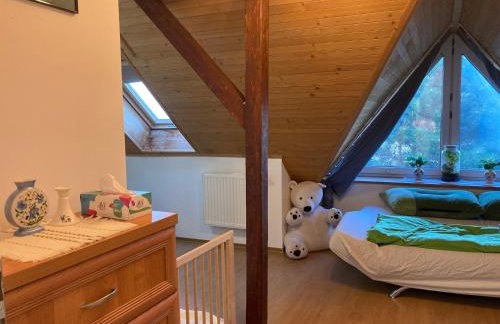 Poddasze Pierwoszyno - Foto 11