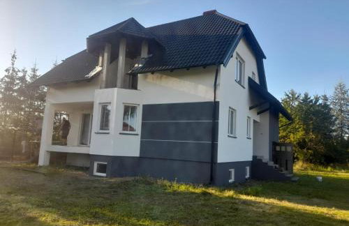 Lawendowy Ogród - Foto 1