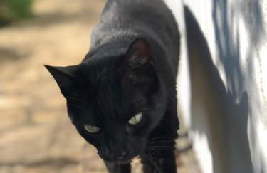 Casa Candelas - Foto 50