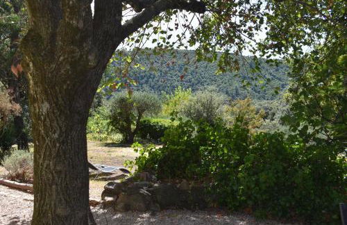 La Figalie - Foto 45