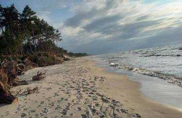 Pod Gruszą - Foto 21