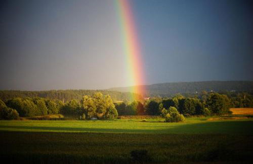 Ferienhof Barthel - Foto 41