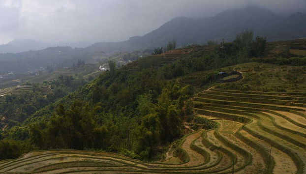 Vietnam rice terraces