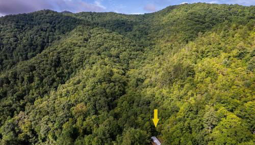 High Hollow Cottage Modern Tiny Home with Hot Tub - Foto 3