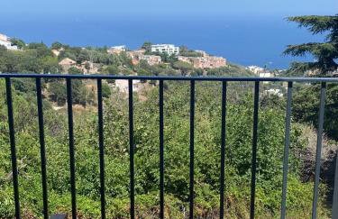 Rez de villa avec terrasse vue mer - Foto 12