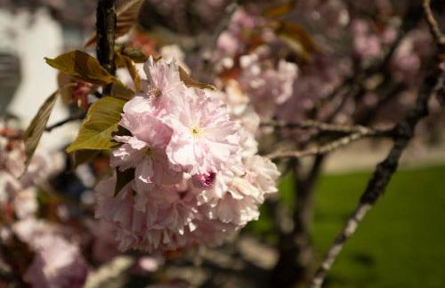 Ferienhaus Hulda - Foto 22