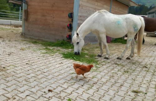 Lieblingsplatz - Foto 14