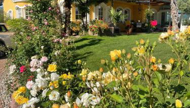 Villa Raifer - Foto 5